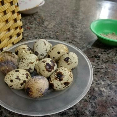Tổng hợp- Quán Ăn Bánh Canh Cá Lóc Yến