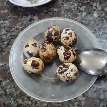 Tổng hợp- Quán Ăn Bánh Canh Cá Lóc Yến