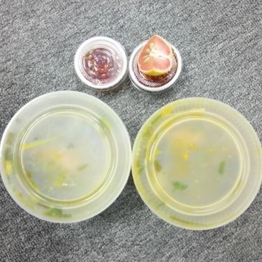 Tổng hợp- Quán Ăn Bánh Canh Cố Đô