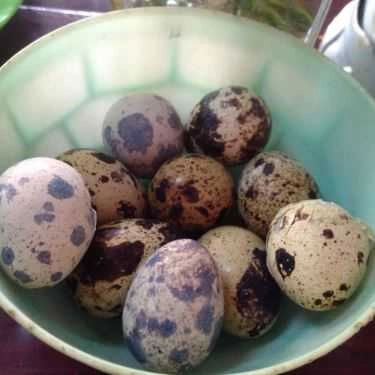 Món ăn- Quán Ăn Bánh Canh Cua Rời Hương