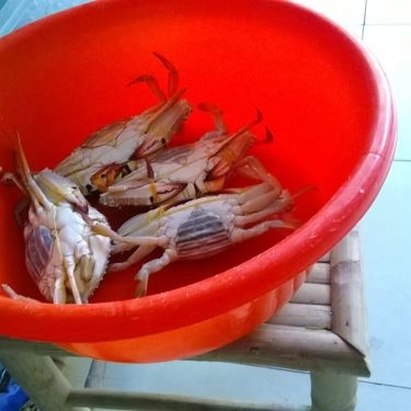 Tổng hợp- Quán Ăn Bánh Canh Ghẹ Ba Sạch