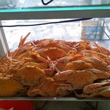 Tổng hợp- Quán Ăn Bánh Canh Ghẹ Cà Mau