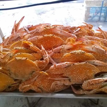 Món ăn- Quán Ăn Bánh Canh Ghẹ Cà Mau