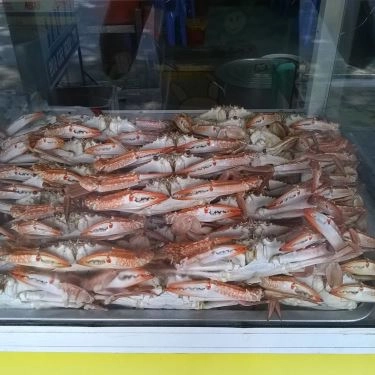 Tổng hợp- Quán Ăn Bánh Canh Ghẹ Cà Mau