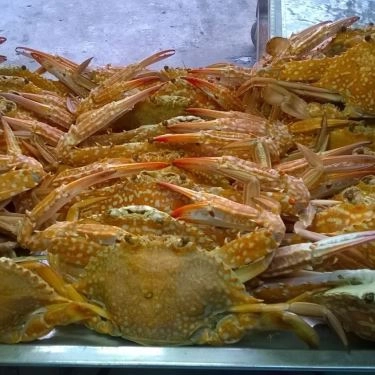 Tổng hợp- Quán Ăn Bánh Canh Ghẹ Cà Mau