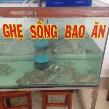 Tổng hợp- Quán Ăn Bánh Canh Ghẹ Cà Mau - Đề Thám