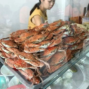 Tổng hợp- Quán Ăn Bánh Canh Ghẹ Phơi Sương