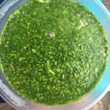Món ăn- Quán Ăn Bánh Canh Hẹ Phú Yên - Hoàng Sa