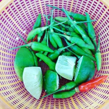 Tổng hợp- Quán Ăn Bánh Canh Khô Cô Tuyết