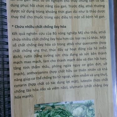 Thực đơn- Quán Ăn Bánh Canh Nấm An Nhiên - Nam Kỳ Khởi Nghĩa