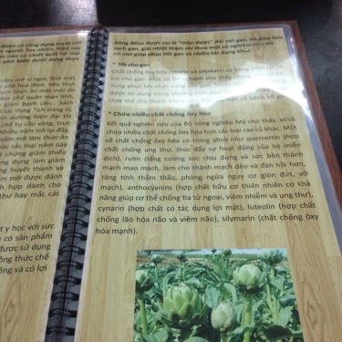 Thực đơn- Quán Ăn Bánh Canh Nấm An Nhiên - Nam Kỳ Khởi Nghĩa