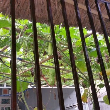 Tổng hợp- Quán Ăn Bánh Canh Ngon Út Phượng - Phan Huy Ích