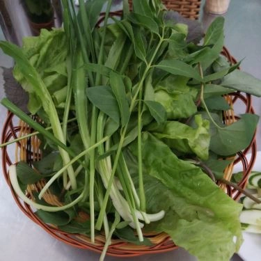 Tổng hợp- Quán Ăn Bánh Canh Trảng Bàng Mộng Ngọc