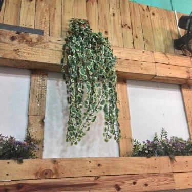 Tổng hợp- Quán Ăn Bánh Cuốn Nhớ - Lê Văn Sỹ