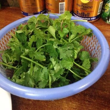 Tổng hợp- Quán Ăn Bánh Cuốn Nóng & Gà Tần - Hoàng Cầu