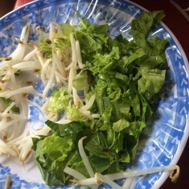 Tổng hợp- Quán Ăn Bánh Cuốn Song Mộc - Vườn Chuối