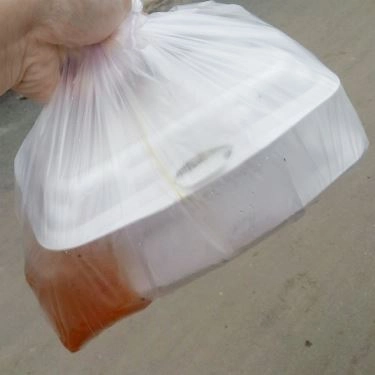 Tổng hợp- Quán Ăn Bánh Cuốn Trứng - Huỳnh Tấn Phát