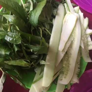 Tổng hợp- Quán Ăn Bánh Ép Bà Hỏi