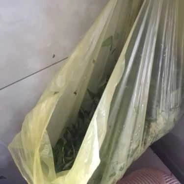 Tổng hợp- Quán Ăn Bánh Ép Mụ Kiều