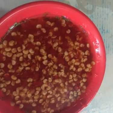 Tổng hợp- Quán Ăn Bánh Ép Mụ Kiều