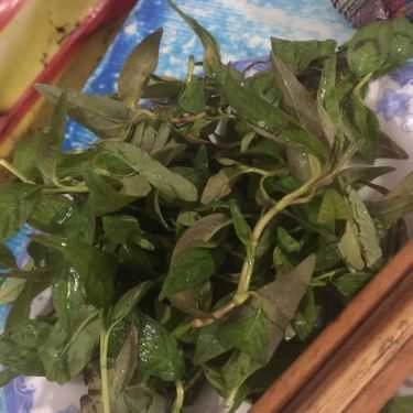 Tổng hợp- Quán Ăn Bánh Ép Mụ Kiều