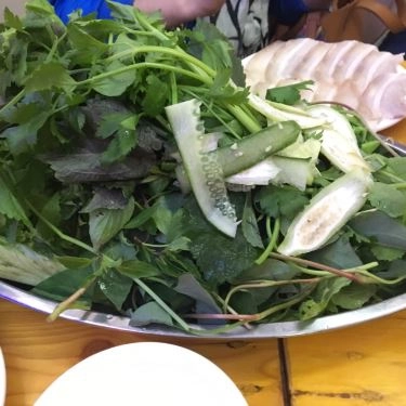 Tổng hợp- Quán Ăn Bánh Tráng Thịt Heo Lộc