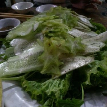 Tổng hợp- Quán Ăn Bánh Xèo Bé Uyên - Đặc Sản Đại Lộc