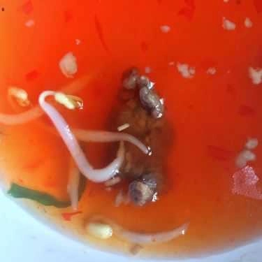Món ăn- Chị Hai - Bánh Xèo
