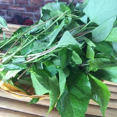 Tổng hợp- Nhà Hàng Bánh Xèo Mười Xiềm - Nguyễn Chí Thanh