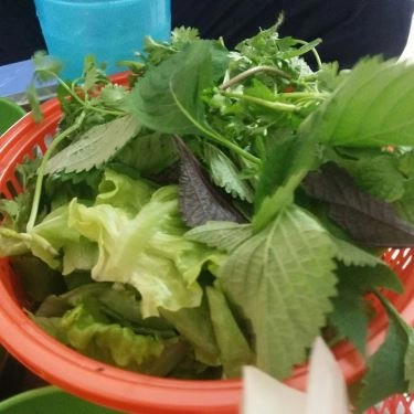 Tổng hợp- Quán Ăn Bánh Xèo & Nem Lụi - Tô Hiệu