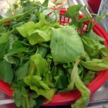 Tổng hợp- Quán Ăn Bánh Xèo & Nem Lụi - Tô Hiệu