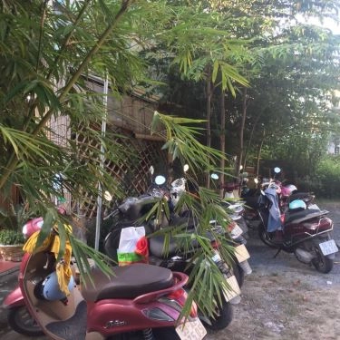 Tổng hợp- Quán Ăn Bánh Xèo Tôm Nhảy