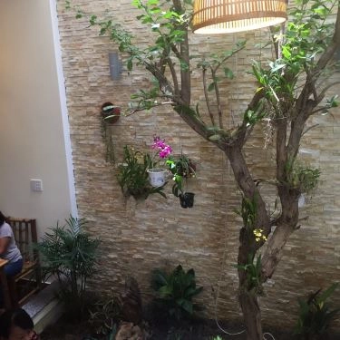 Tổng hợp- Quán Ăn Bánh Xèo Tôm Nhảy Cô Ba - Đặc Sản Miền Trung