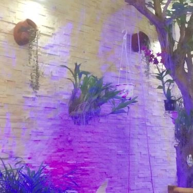 Tổng hợp- Quán Ăn Bánh Xèo Tôm Nhảy Cô Ba - Đặc Sản Miền Trung