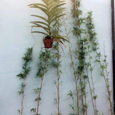 Tổng hợp- Quán Ăn Bánh Xèo Tôm Nhảy Cô Ba - Đặc Sản Miền Trung