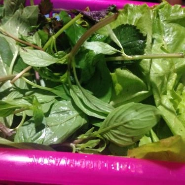 Món ăn- Quán Ăn Bánh Xèo Tư Đông - Vũ Tông Phan
