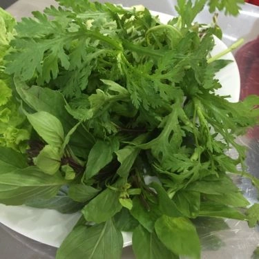 Tổng hợp- Quán Ăn Bảo Bảo - Hủ Tiếu Mì Sườn & Bún Mắm