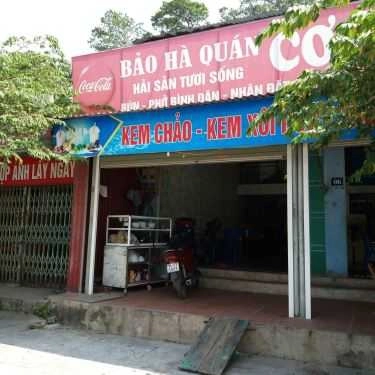 Tổng hợp- Bảo Hà - Hải Sản Tươi Sống