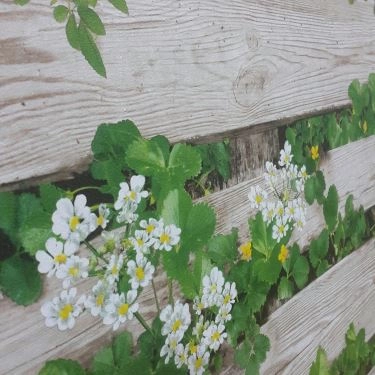 Tổng hợp- Quán Ăn Bún Đậu Mắm Tôm Bảo Ngọc