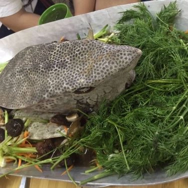 Tổng hợp- Quán Ăn Bao Quán - Ẩm Thực Việt