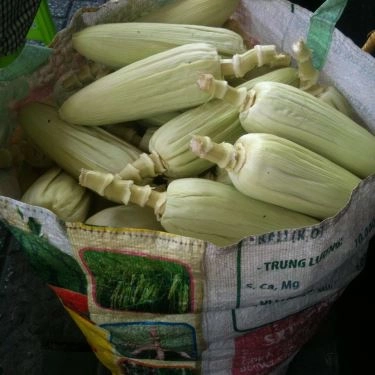 Tổng hợp- Quán Ăn Bắp Nướng Mỡ Hành - Vỉa Hè Phan Xích Long
