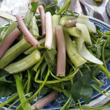 Tổng hợp- Quán Ăn Gà Ta Nướng Bảy Đực