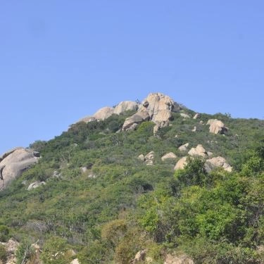 Tổng hợp- Quán Ăn Mỹ Trâm - Hải Sản Bình Ba