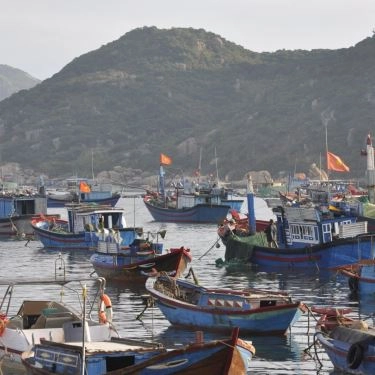 Tổng hợp- Quán Ăn Mỹ Trâm - Hải Sản Bình Ba