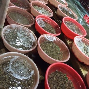 Tổng hợp- Quán Ăn Bé Thân Lăng Cô - Hải Sản Tươi Sống