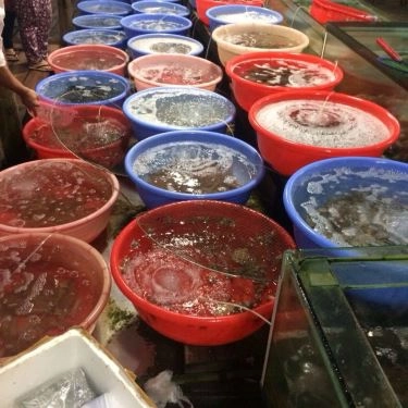 Tổng hợp- Quán Ăn Bé Thân Lăng Cô - Hải Sản Tươi Sống