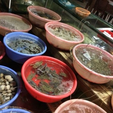 Tổng hợp- Quán Ăn Bé Thân Lăng Cô - Hải Sản Tươi Sống