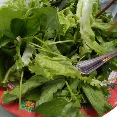 Tổng hợp- Quán Ăn Bê Thui Cầu Mống - 100 Điện Biên Phủ