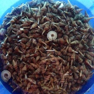 Tổng hợp- Quán Ăn Bia Tô Lão Đại - 3 Tháng 2