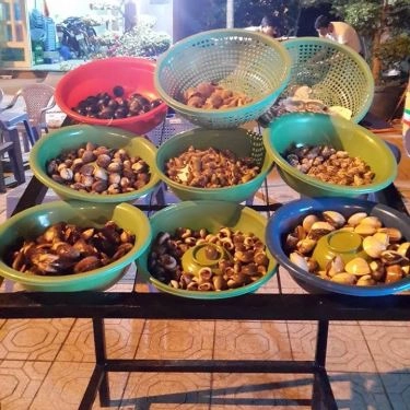 Tổng hợp- Quán Ăn Biển Đêm Quán